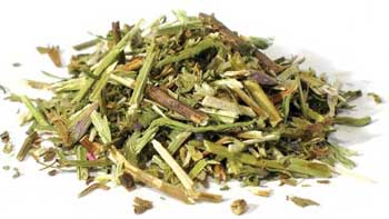 Hyssop Cut 2oz (Hyssopus officinalis)