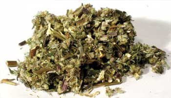 Mugwort cut 2oz  (Artemisia vulgaris)