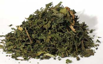 Nettle "Stinging)"Leaf Cut 2oz  (Urtica dioica)