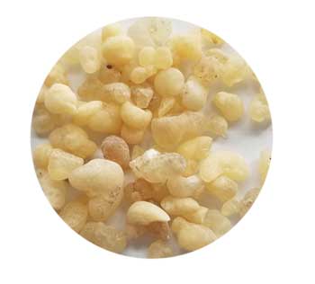 1 Lb Frankincense Tears granular incense